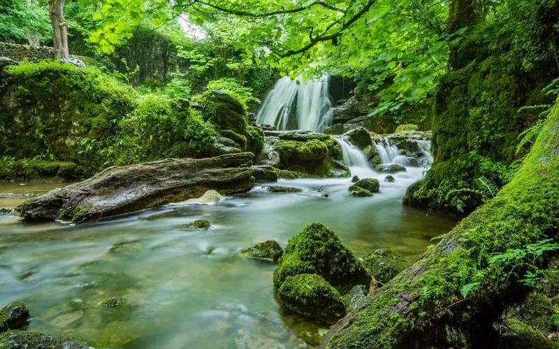 电子高性能